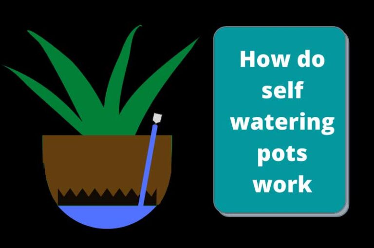 how-do-self-watering-pots-work-complete-working-principle-gardener-s