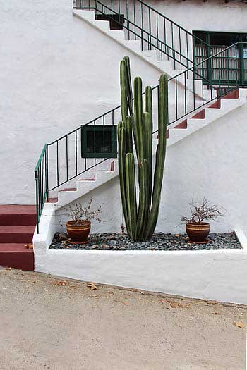 Indoor_pebble_garden_under_the_stairs