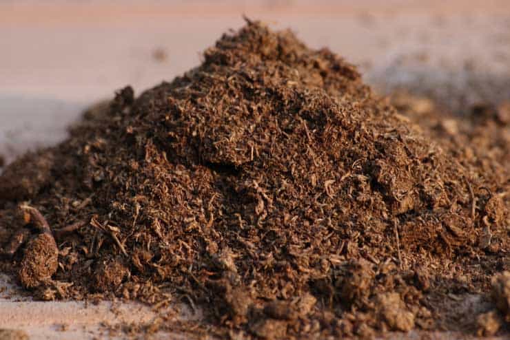 Sphagnum_Peat_Moss_for_potting_soil