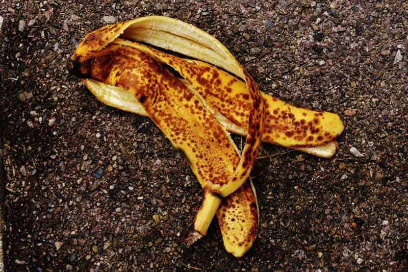 banana-peel-homemade-fertilizers