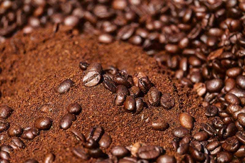 coffee-beans-homemade-fertilizers