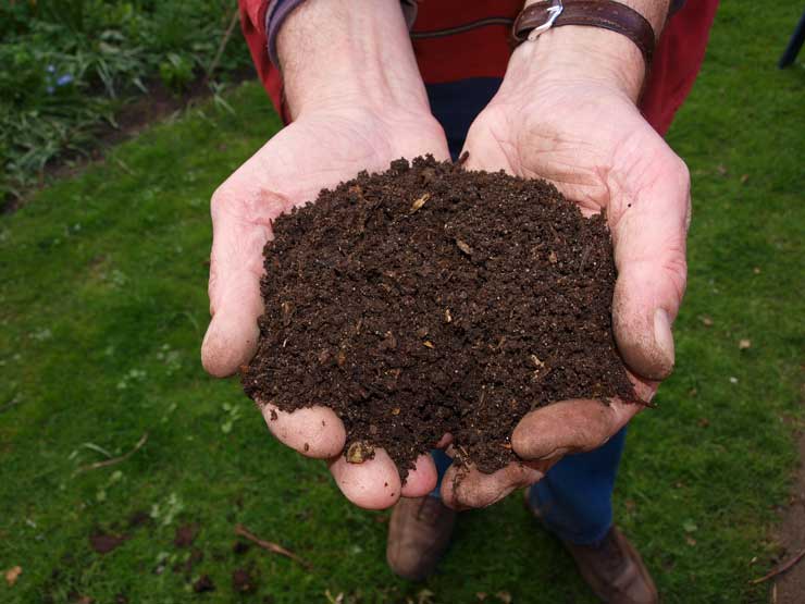 potting-mix-for-indoor-plants