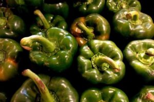 Why Are My Green Peppers Turning Black? (Answered)