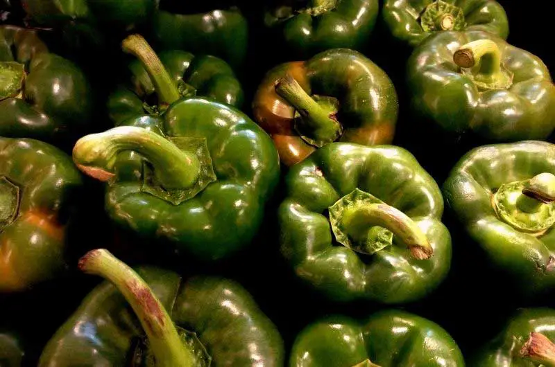 why-are-my-green-peppers-turning-black